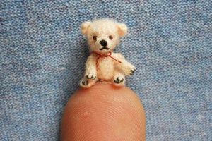World's Smallest Teddy Bear: Tiny Plush Miracles | Teddy Information – Everything You Need to Know About Teddy Bears