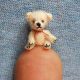 World's Smallest Teddy Bear: Tiny Plush Miracles | Teddy Information – Everything You Need to Know About Teddy Bears
