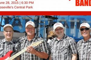 Cuddly Teddy Bear Bands in MN: Joyful Tunes | Teddy Information – Everything You Need to Know About Teddy Bears