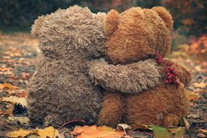 Big Plush Bear Hug Teddy Bears for Comfort | Teddy Information – Everything You Need to Know About Teddy Bears