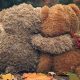 Big Plush Bear Hug Teddy Bears for Comfort | Teddy Information – Everything You Need to Know About Teddy Bears