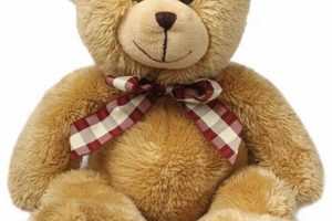 Cute Teddy Bear Transparent Images & PNGs | Teddy Information – Everything You Need to Know About Teddy Bears