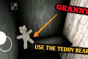 Granny's Teddy: What Does He Do? Explained | Teddy Information – Everything You Need to Know About Teddy Bears