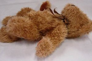 Cuddly Spencer Teddy Bear Soft Toys & Plushies | Teddy Information – Everything You Need to Know About Teddy Bears