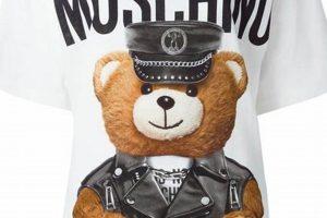 Cute Moschino Teddy Bear Apparel & Accessories | Teddy Information – Everything You Need to Know About Teddy Bears