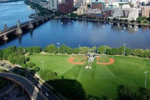 Honoring Teddy: The Ebersol Field Legacy | Teddy Information – Everything You Need to Know About Teddy Bears