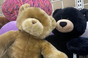 Find Cute Teddy Bears at Walgreens Today! Teddy Information – Everything You Need to Know About Teddy Bears Find Cute Teddy Bears at Walgreens Today! | Teddy Information – Everything You Need to Know About Teddy Bears