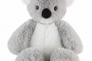 Cuddly Koala Bear Teddy Bears: Soft & Plush | Teddy Information – Everything You Need to Know About Teddy Bears