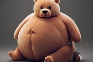 Embrace Your Inner Teddy Bear: Loving Your Body | Teddy Information – Everything You Need to Know About Teddy Bears