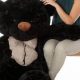 Giant Black Teddy Bears: Big, Soft & Cuddly | Teddy Information – Everything You Need to Know About Teddy Bears
