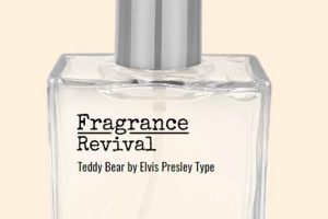 Best Teddy Bear Fragrance: Top Scents Teddy Information – Everything You Need to Know About Teddy Bears Best Teddy Bear Fragrance: Top Scents | Teddy Information – Everything You Need to Know About Teddy Bears