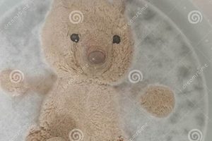 How to Give Your Teddy Bear a Bath | Teddy Information – Everything You Need to Know About Teddy Bears