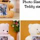 Personalized Teddy Bears with Your Photo | Teddy Information – Everything You Need to Know About Teddy Bears