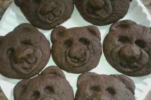 Easy Teddy Bear Cookies Recipe & Decorating Ideas Teddy Information – Everything You Need to Know About Teddy Bears Easy Teddy Bear Cookies Recipe & Decorating Ideas | Teddy Information – Everything You Need to Know About Teddy Bears