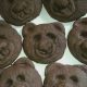 Easy Teddy Bear Cookies Recipe & Decorating Ideas | Teddy Information – Everything You Need to Know About Teddy Bears